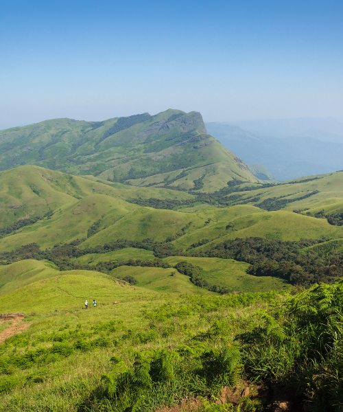 Chikmagalur country on the listed package