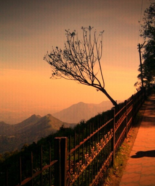 Coaker's Walk area on a listed Kodaikanal day