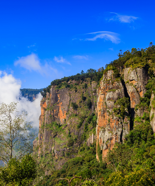 Kodaikanal country on a chauffeur hire from Bangalore