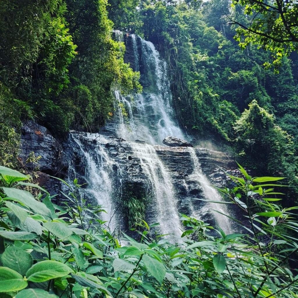 Forest waterfall on a Chikmagalur outing from Bangalore