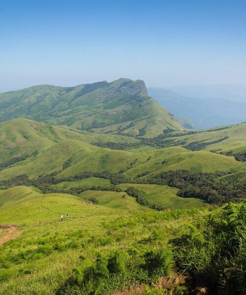 Hills of Chikmagalur on a chauffeur trip from Bangalore