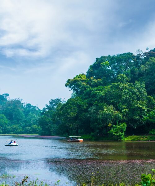 Pookode Lake in Wayanad on a Kerala Urbania trip
