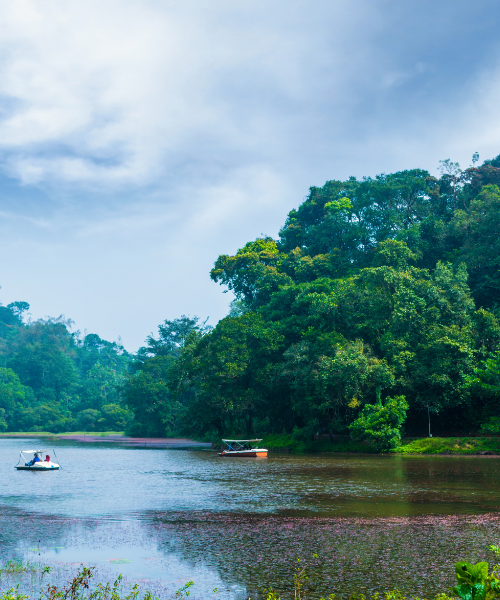Wayanad Pookode Lake